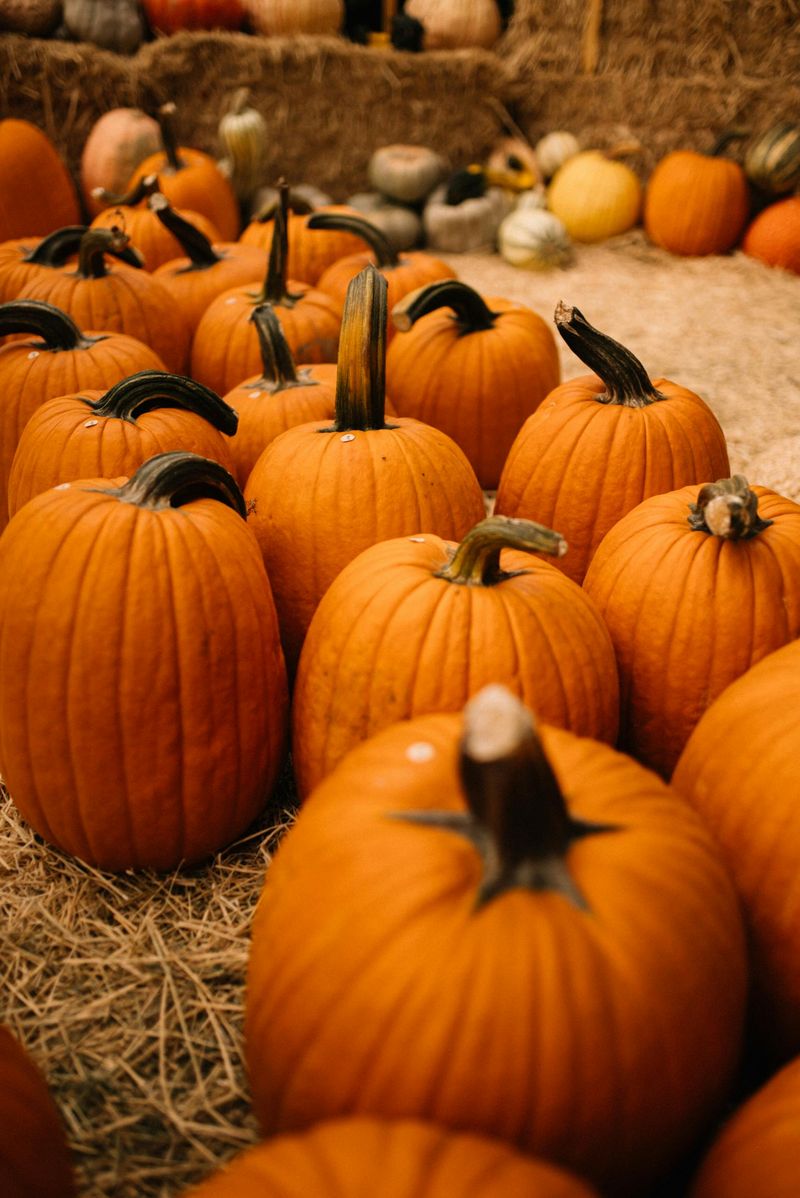 Pumpkins