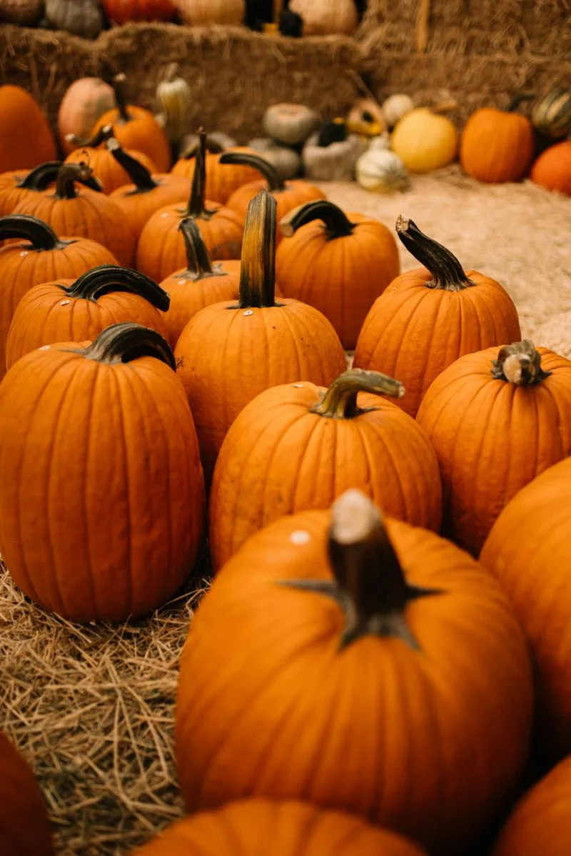 Pumpkins