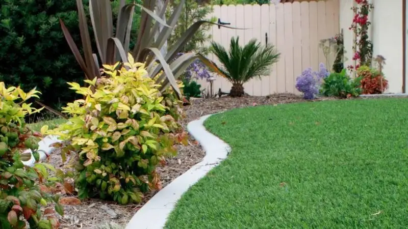 Artificial Turf