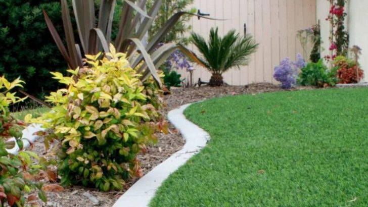 6 No-Grass Yard Trends That Disappoint and 10 That Make a Real Difference