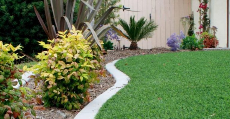 6 No-Grass Yard Trends That Disappoint and 10 That Make a Real Difference