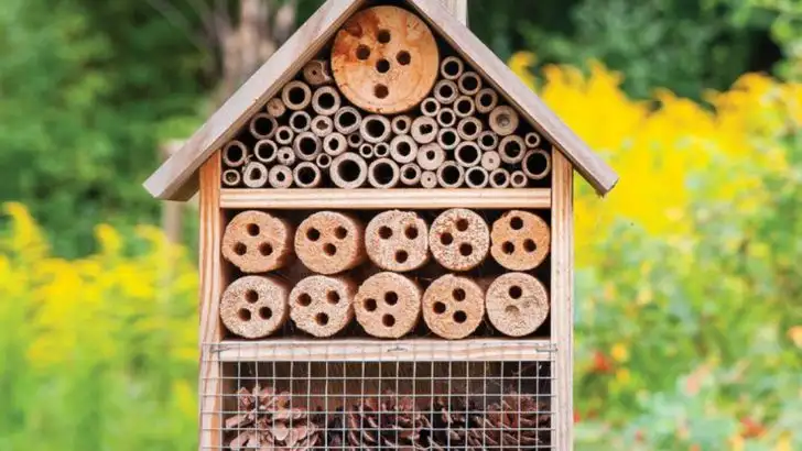 7 Easy Ways to Attract Birds and Pollinators to Your Garden
