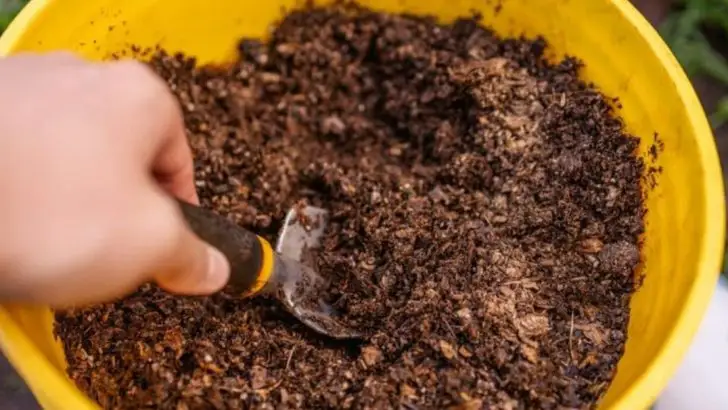 7 Silent Soil Mistakes That Are Killing Your Plants Slowly