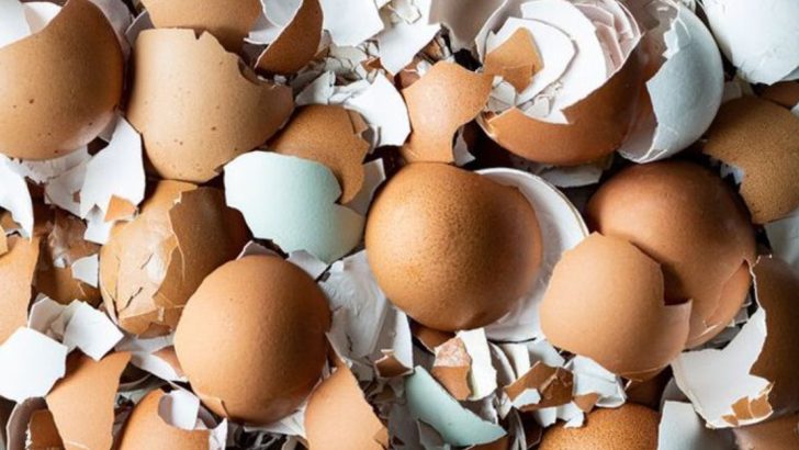 8 Kitchen Scraps That Work Better Than Store-Bought Fertilizer