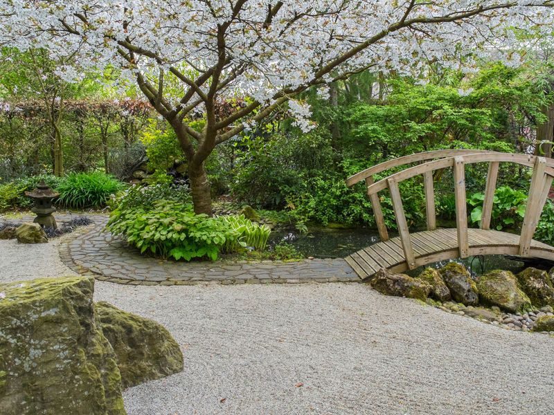 Zen Rock Garden