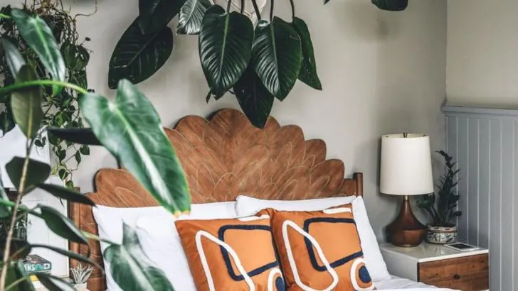 9 Ways to Style Your Bedroom with Low-Light Plants