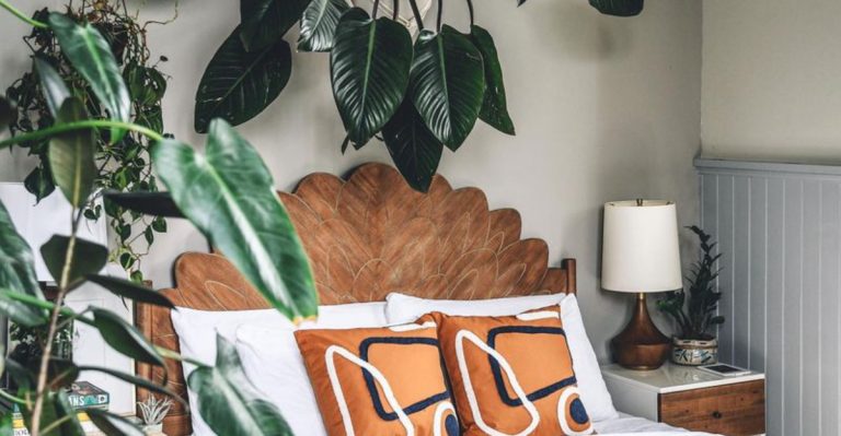 9 Ways to Style Your Bedroom with Low-Light Plants