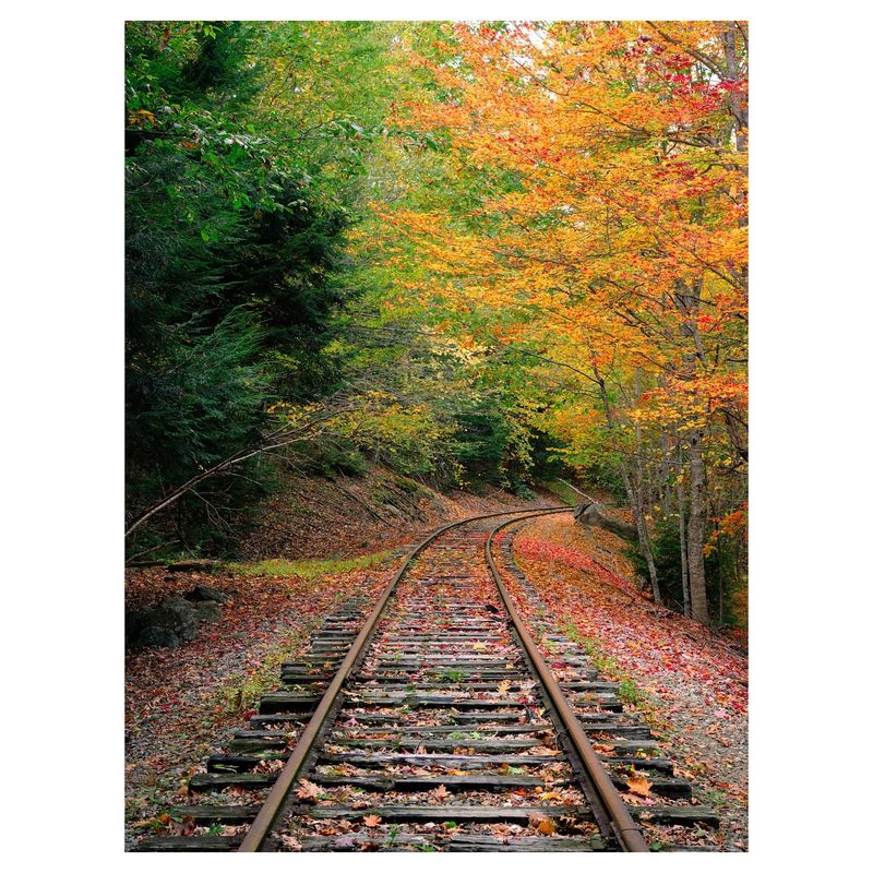 Abandoned Railways