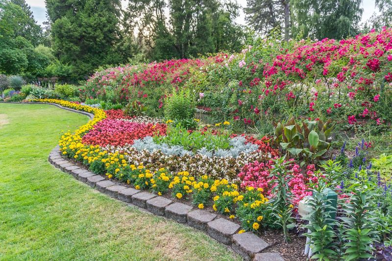 Add Colorful Annuals