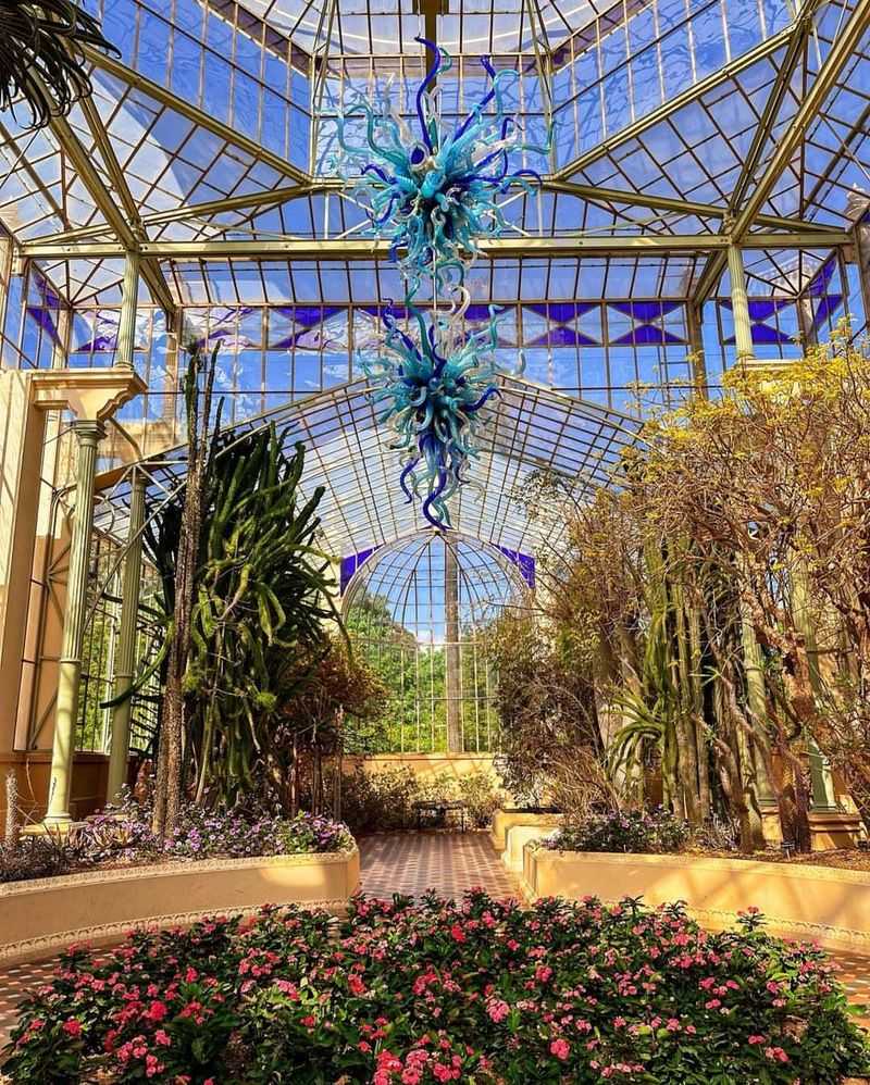 Adelaide Botanic Garden
