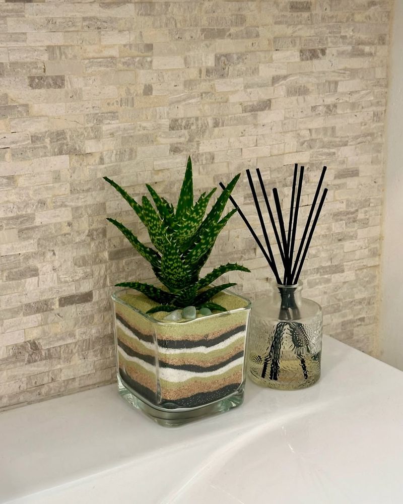 Aloe Vera