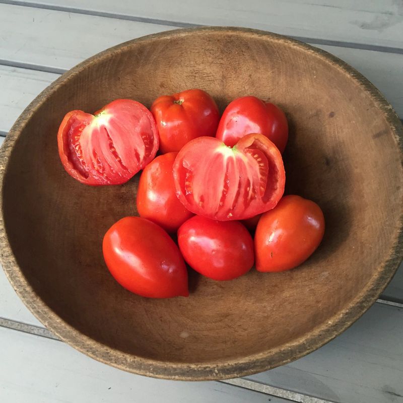 Amish Paste Tomato