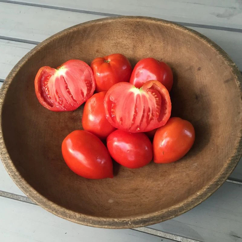 Amish Paste Tomato