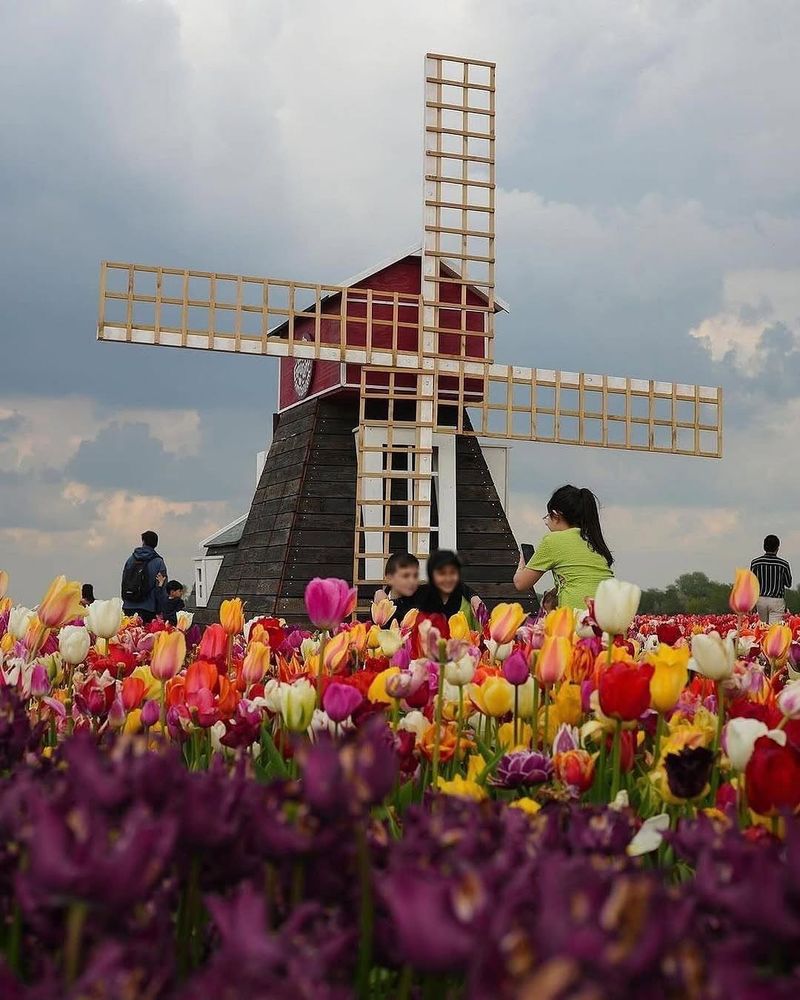Amsterdam, Netherlands