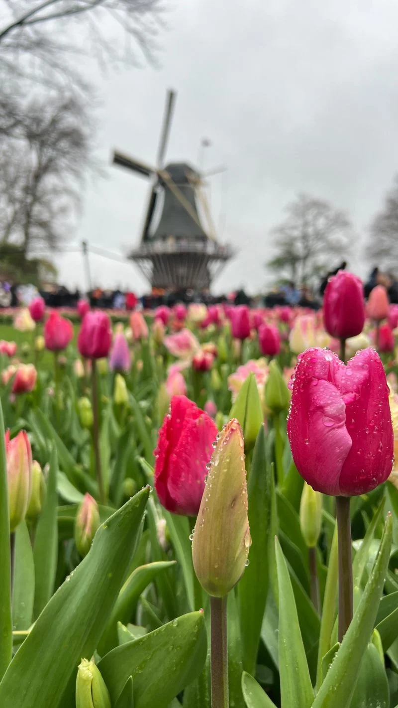 Amsterdam, Netherlands