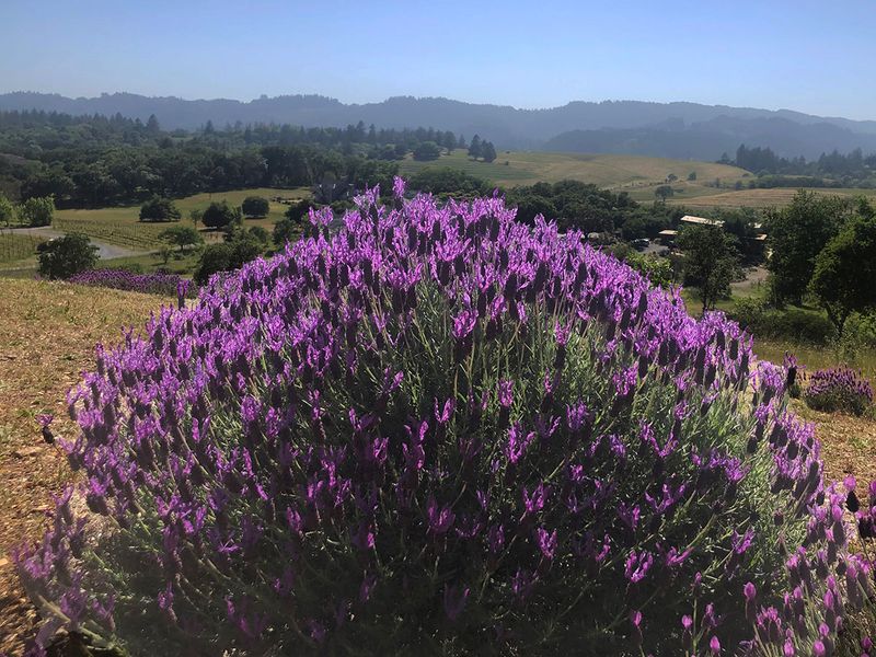 Andalusia, Spain