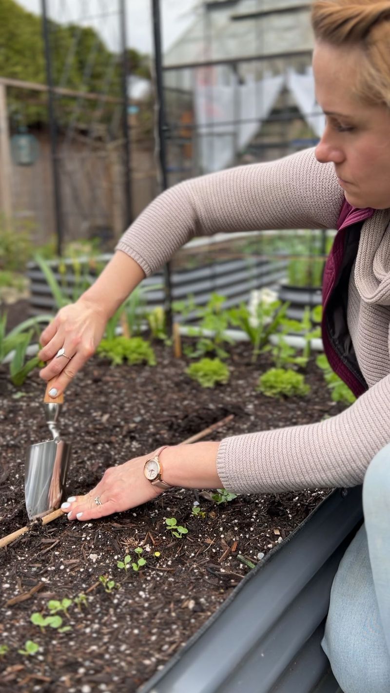 April: Early Seed Planting