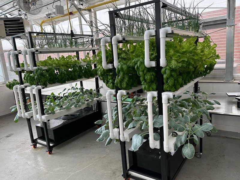 Aquaponics System