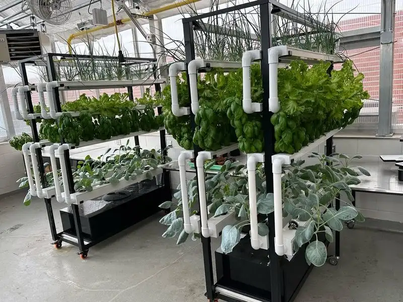 Aquaponics System