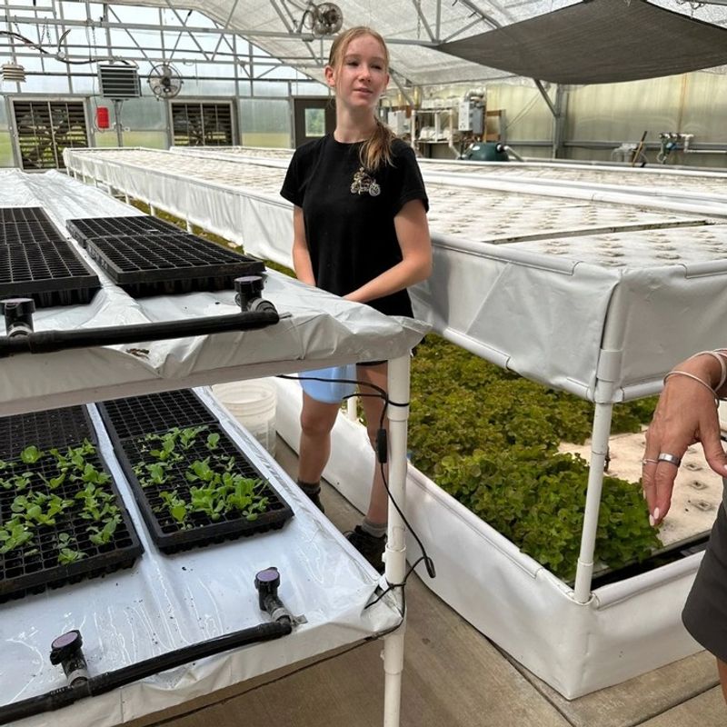 Aquaponics System