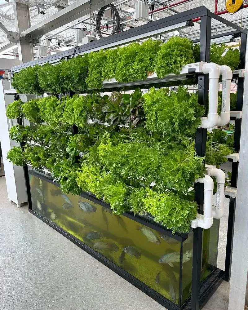Aquaponics Systems