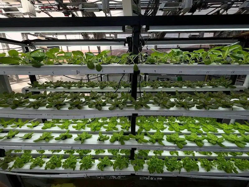 Aquaponics Systems