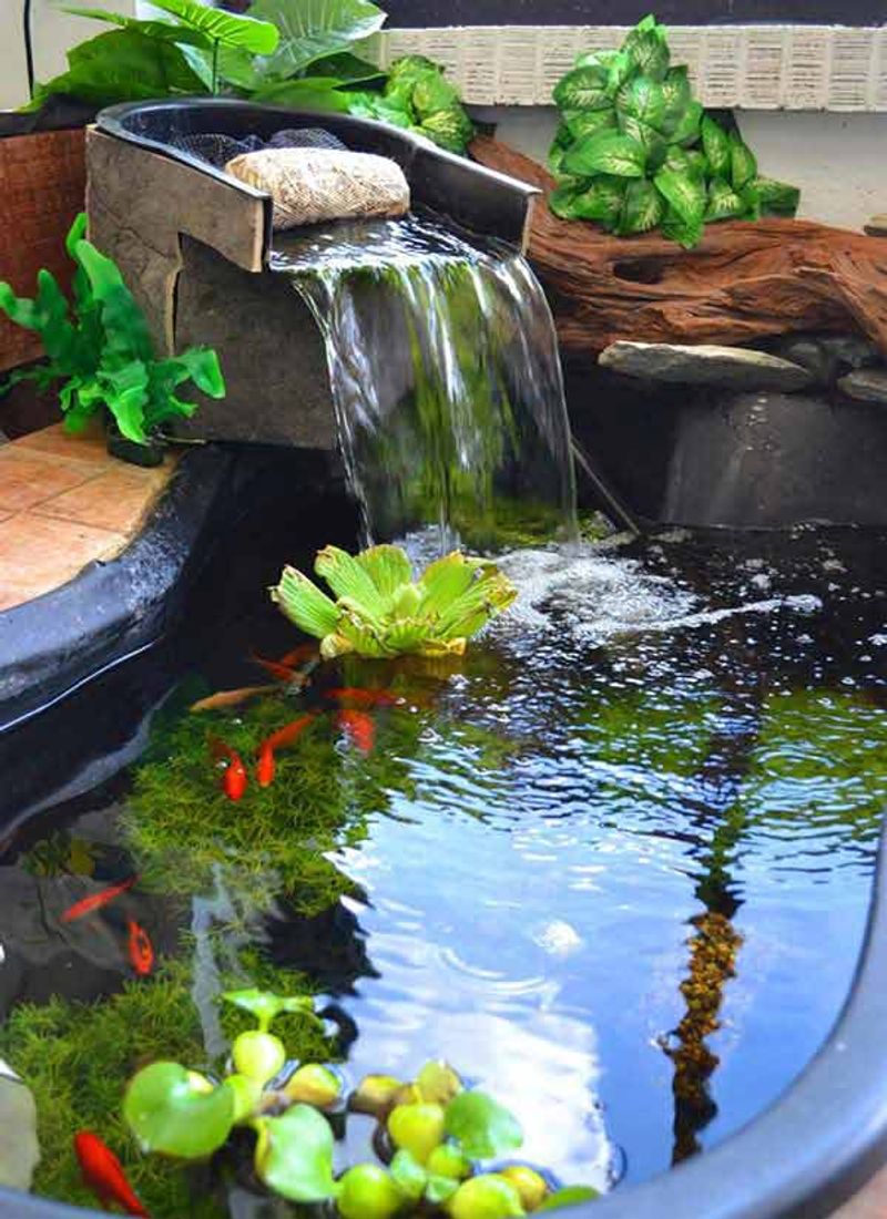 Aquarium Water
