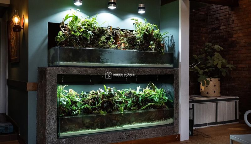 Aquatic Plant Displays