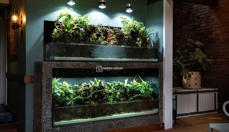 Aquatic Plant Displays