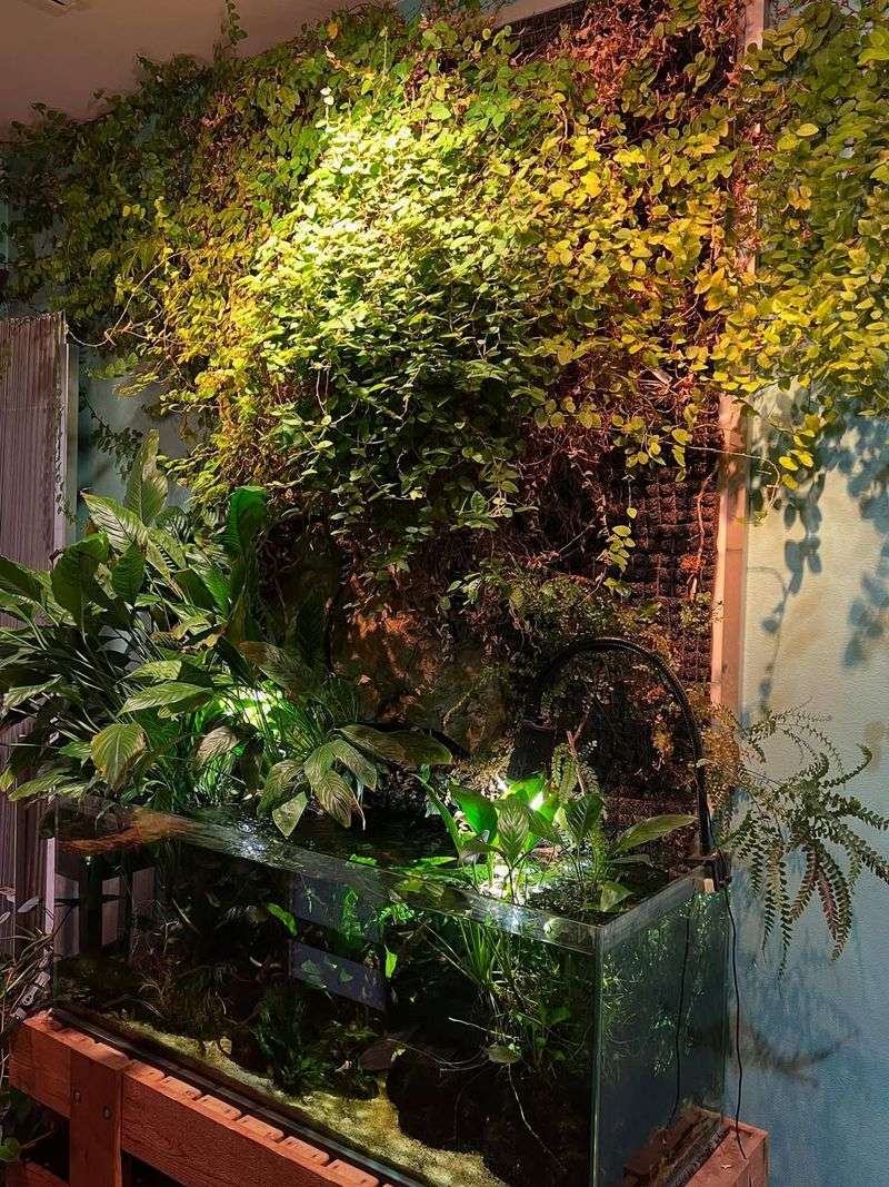 Aquatic Plant Wall