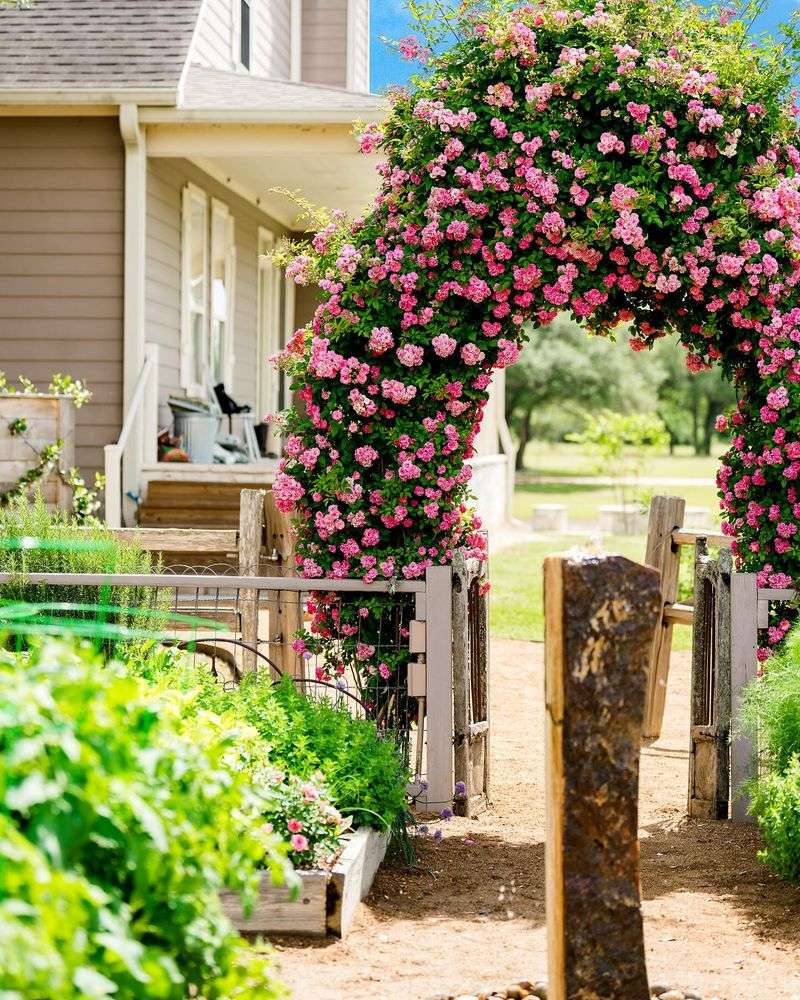 Arched Arbor
