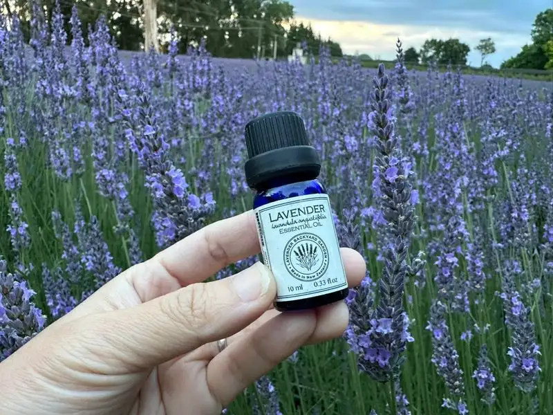 Aromatherapy Essential