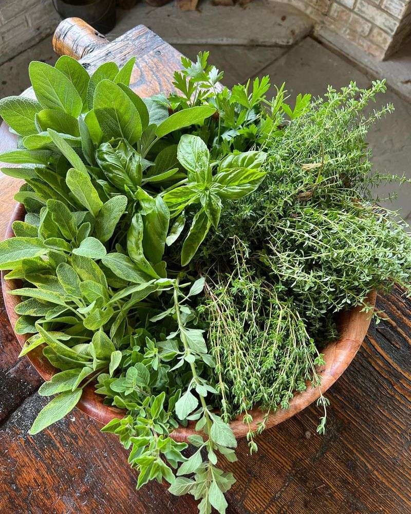Aromatic Herbs in the Air