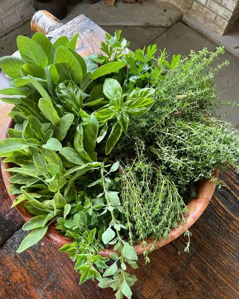 Aromatic Herbs in the Air