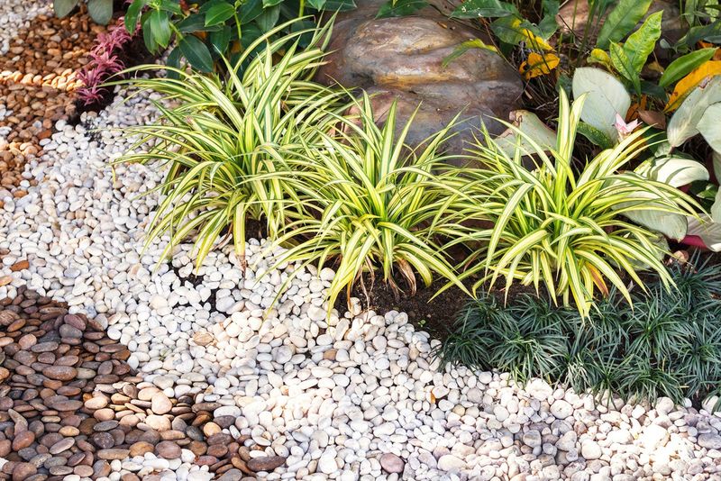 Gravel Gardens