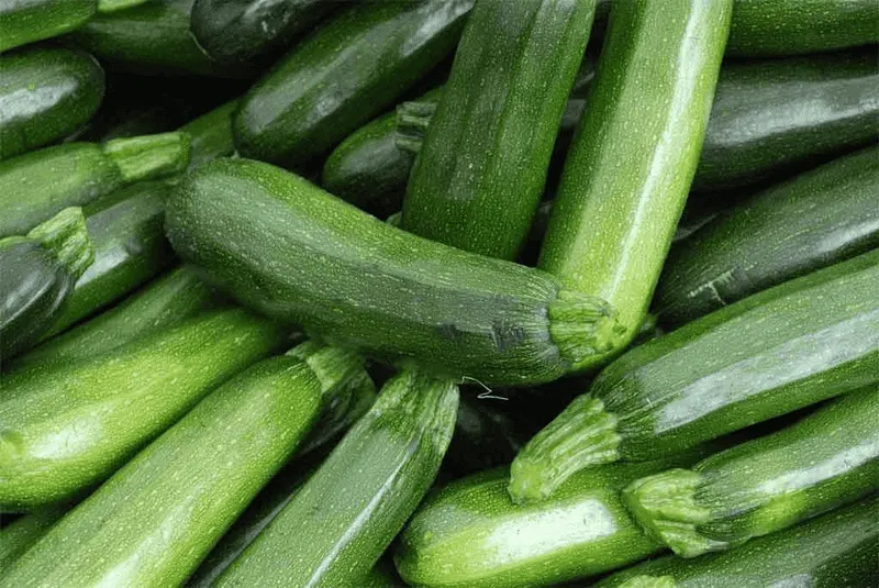Zucchini