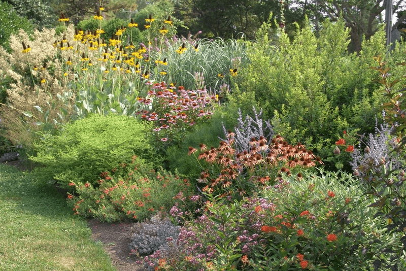 Native Plant Gardens