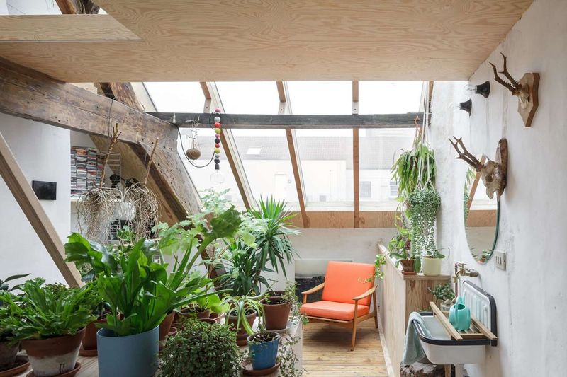 Attic