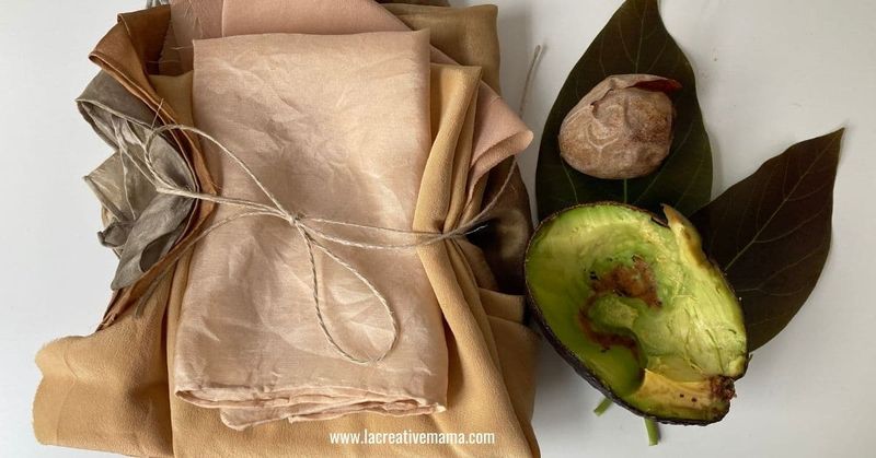 Avocado Pits