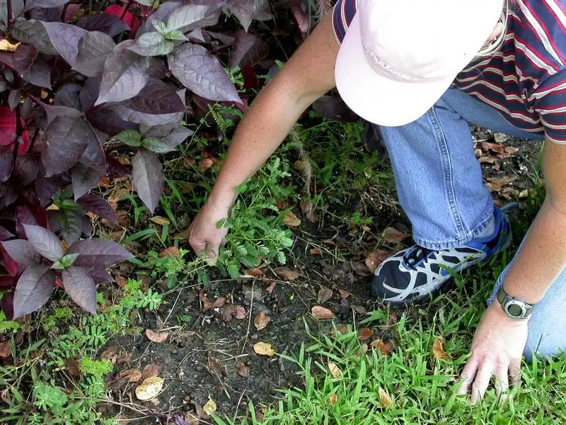 Avoid Pesticides