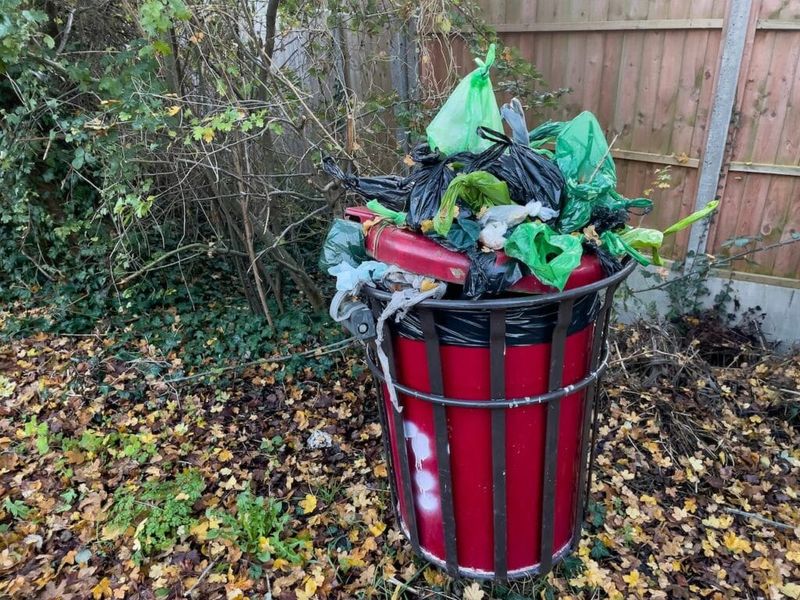 Avoid Pet Waste