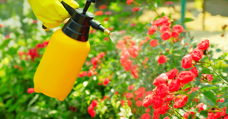 Avoiding Chemical Pesticides