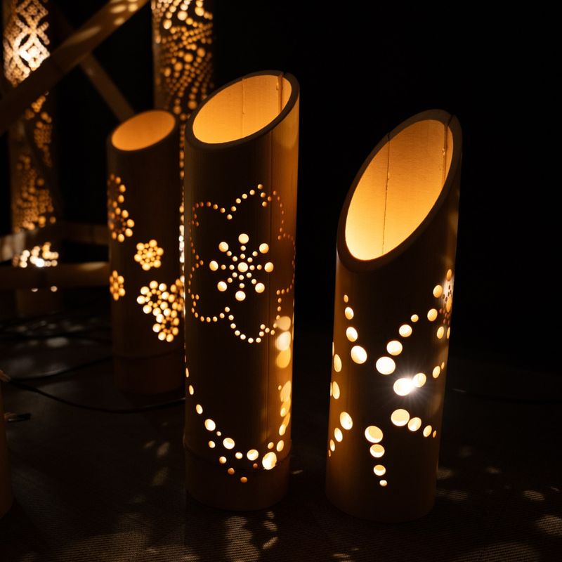 Backlit Bamboo