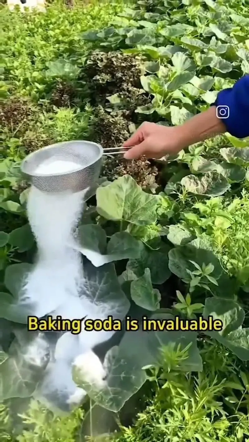 Baking Soda