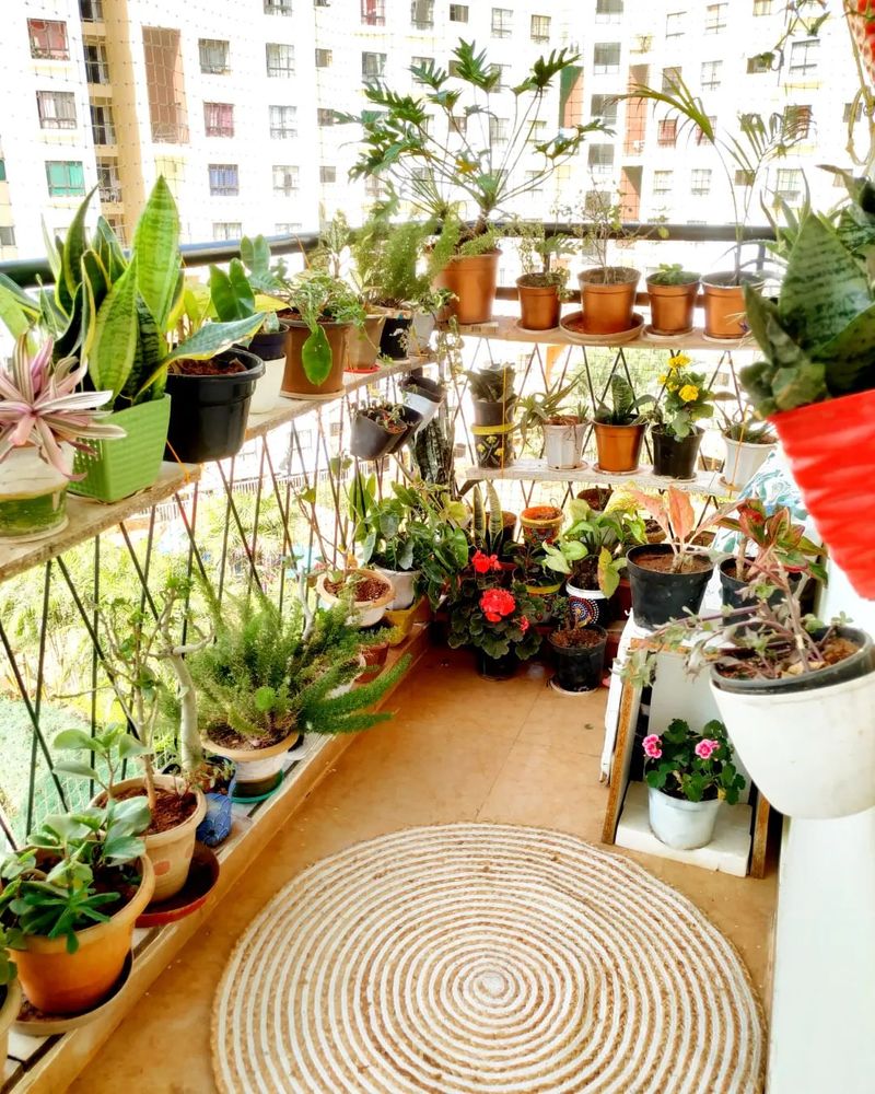 Balcony Garden Shelves