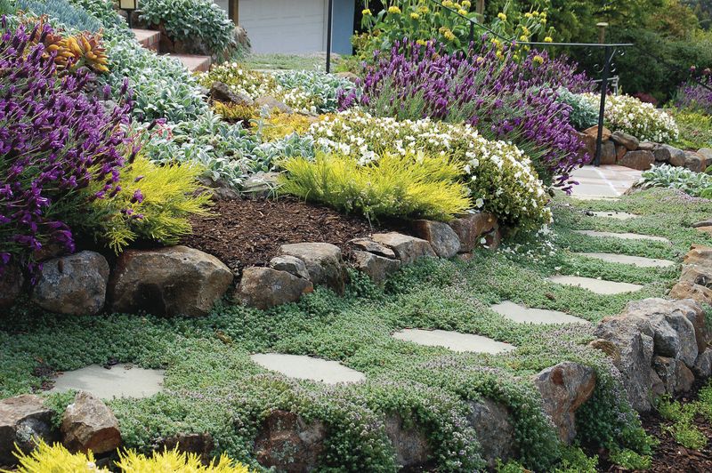 Ground Cover Charm