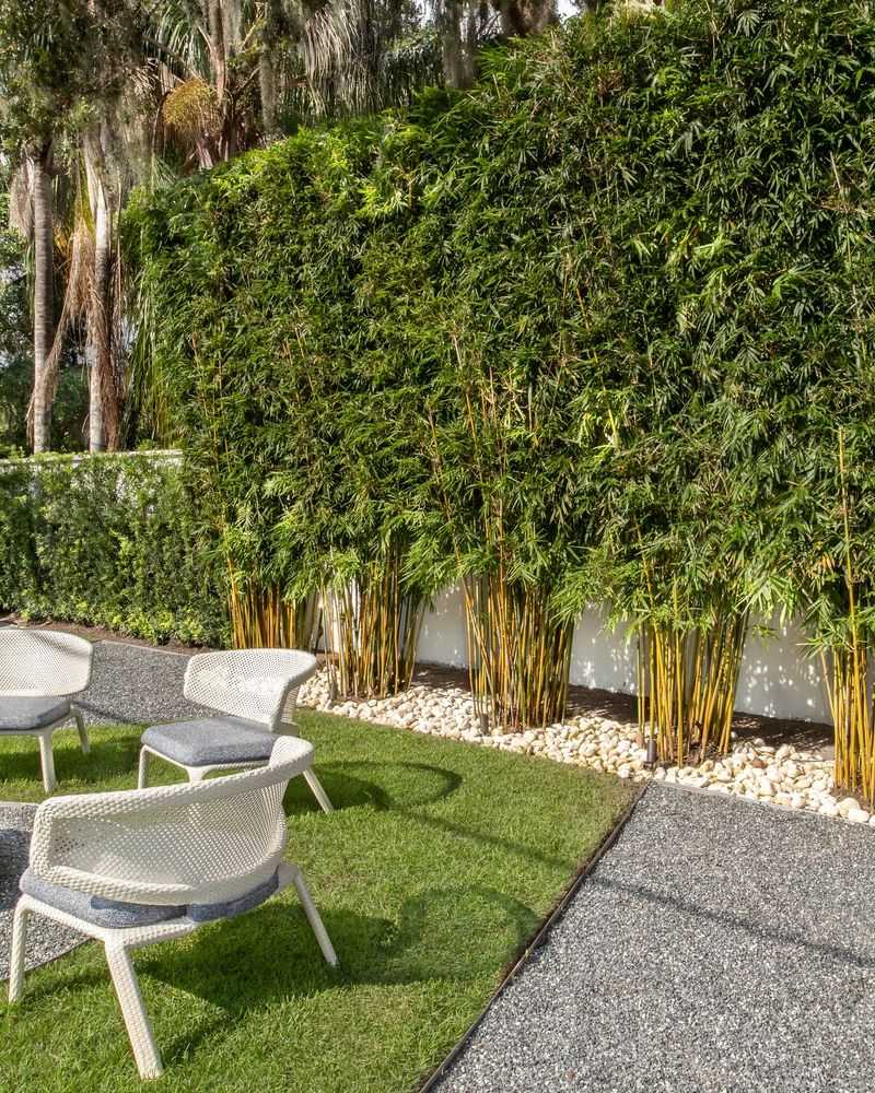Bamboo Privacy Screen