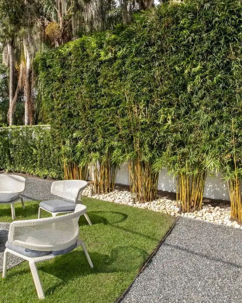 Bamboo Privacy Screen