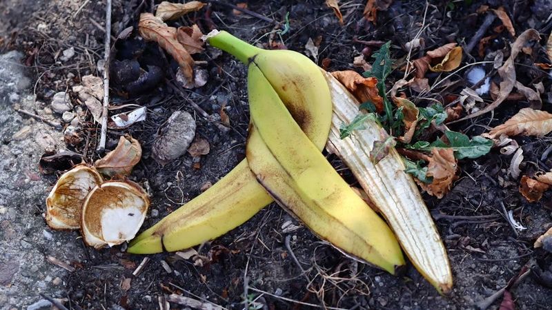 Banana Peel Boost