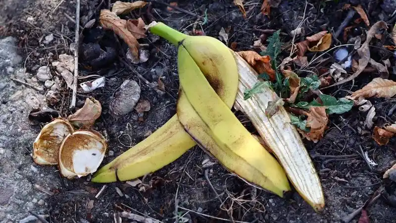 Banana Peel Boost
